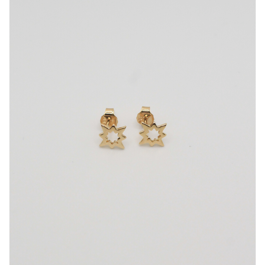 Gold plated earrings