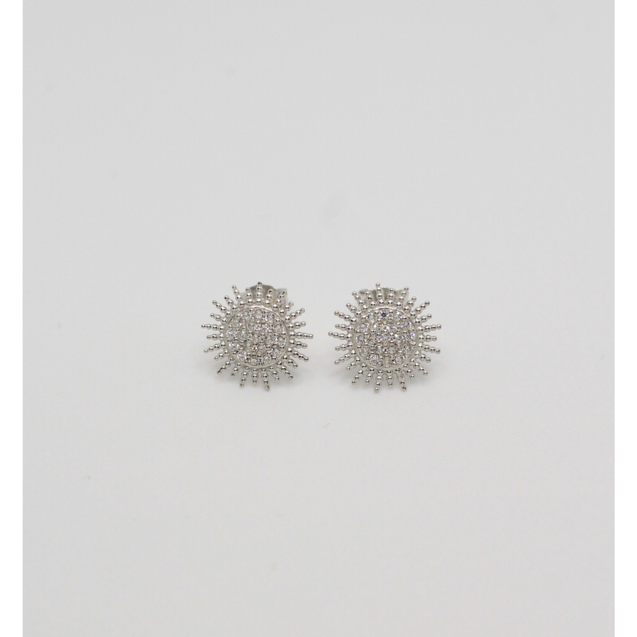 silver earrings